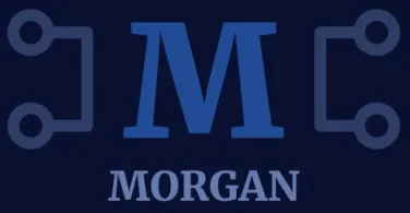 Morgan - Node.js Libraries and Frameworks Morgan - Node.js Libraries and Frameworks