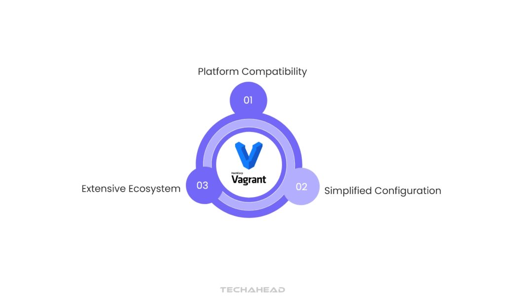 Vagrant