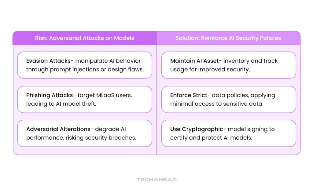 Risk +Solution (Adversial Attakcs on Model)