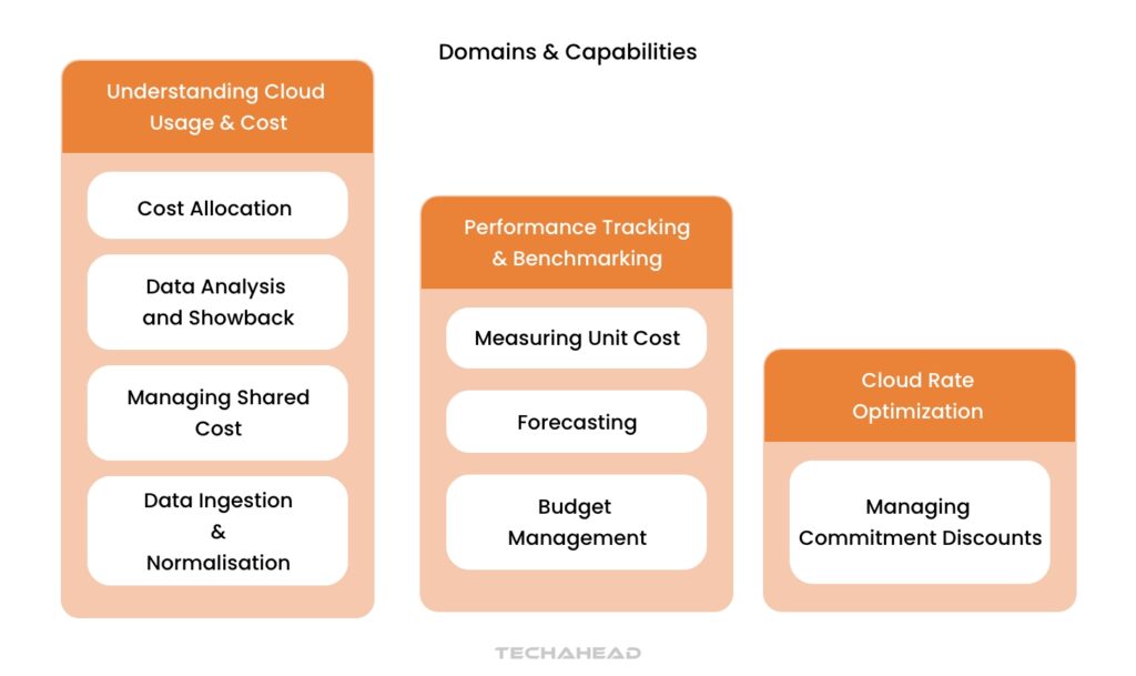 Capabilities and Domains of Cloud FinOps