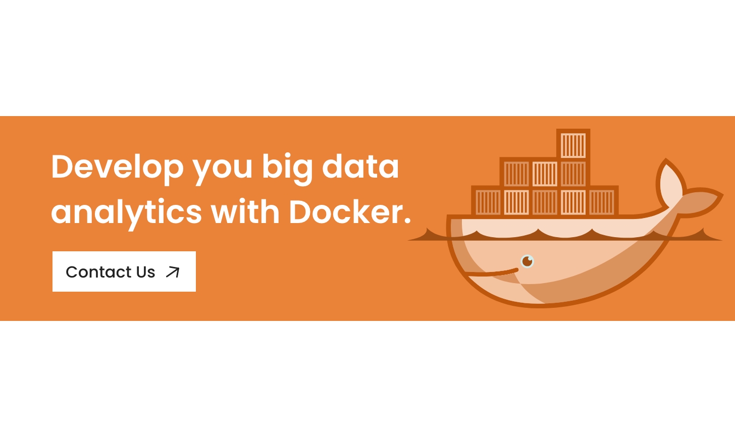 CTA Big Data Development with Docker in AWS