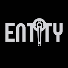 Entity Store