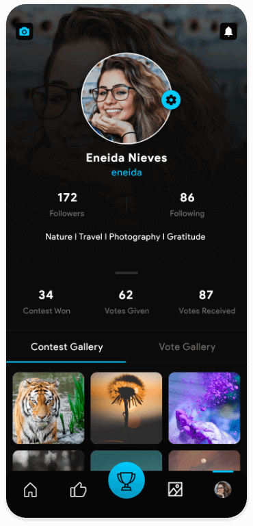 Profile