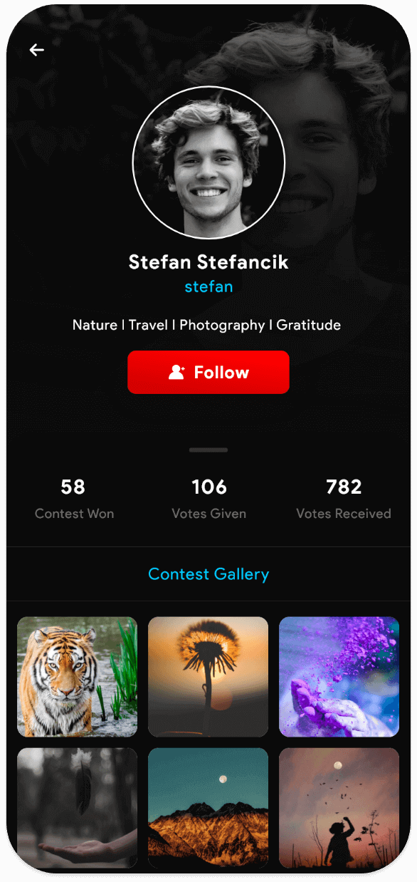 Profile