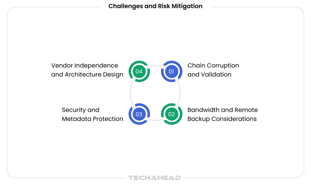 Challenges and Risk Mitigation