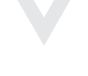 Vue.js Icon