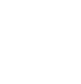 Selenium Icon