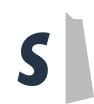 Shopify Icon