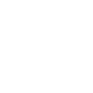 Ionic Icon