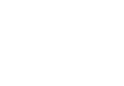 API logo