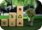 Sustainable Commerce Solutions