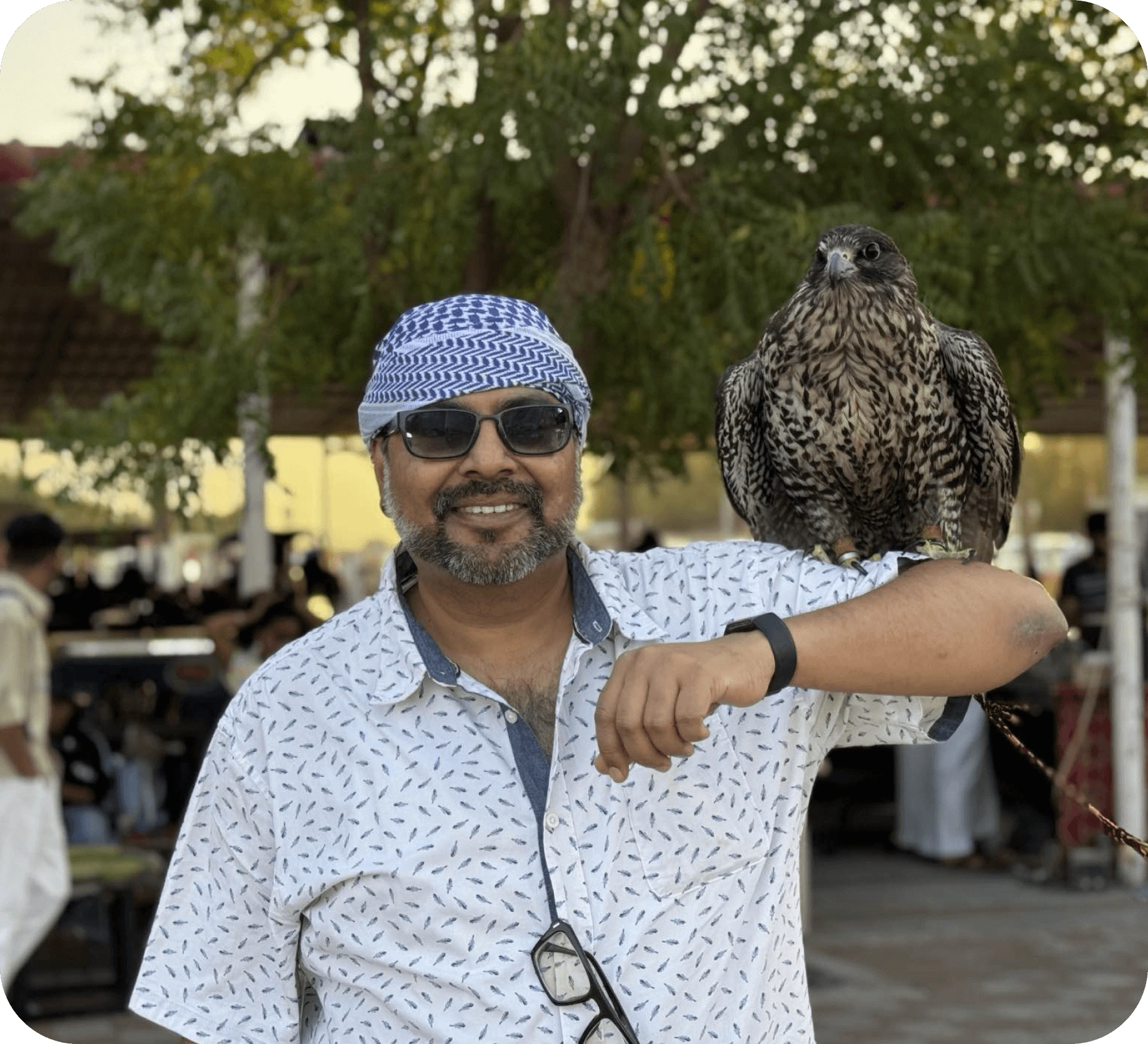 Techahead Leader with a Falcon Perched