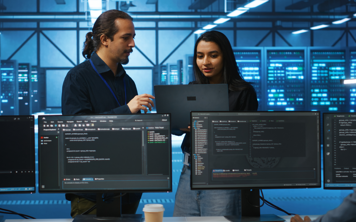 Advantages of Custom Software Development Services in Chicago​