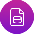Data Analytics and AI Integration