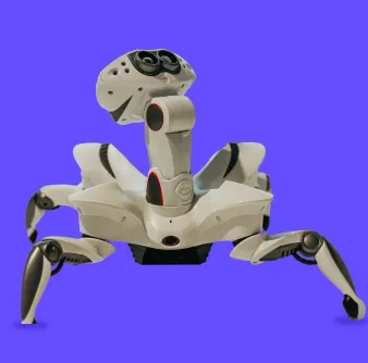 Bipedal locomotion robot